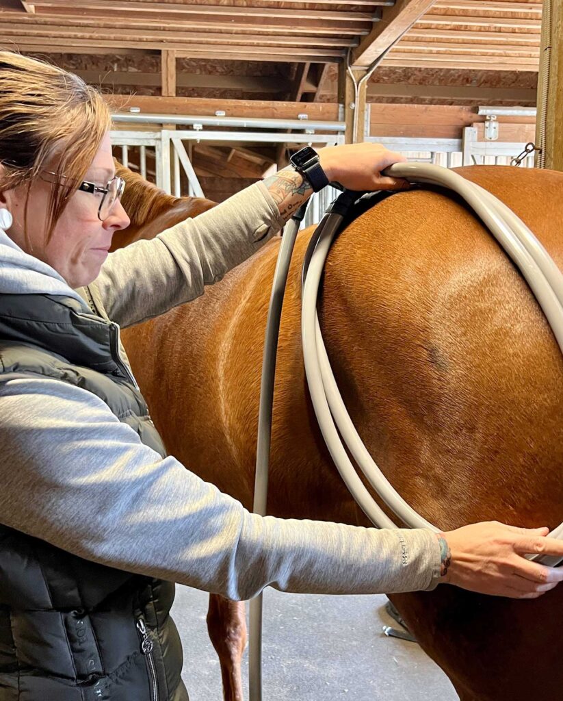 horse-show-pemf-services-oregon